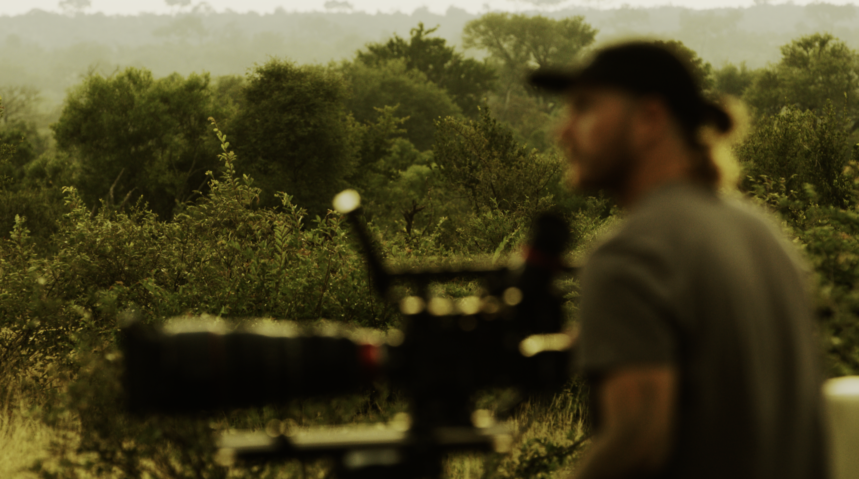 2c7cfc04cd7e9485e854490fa97370882c999733