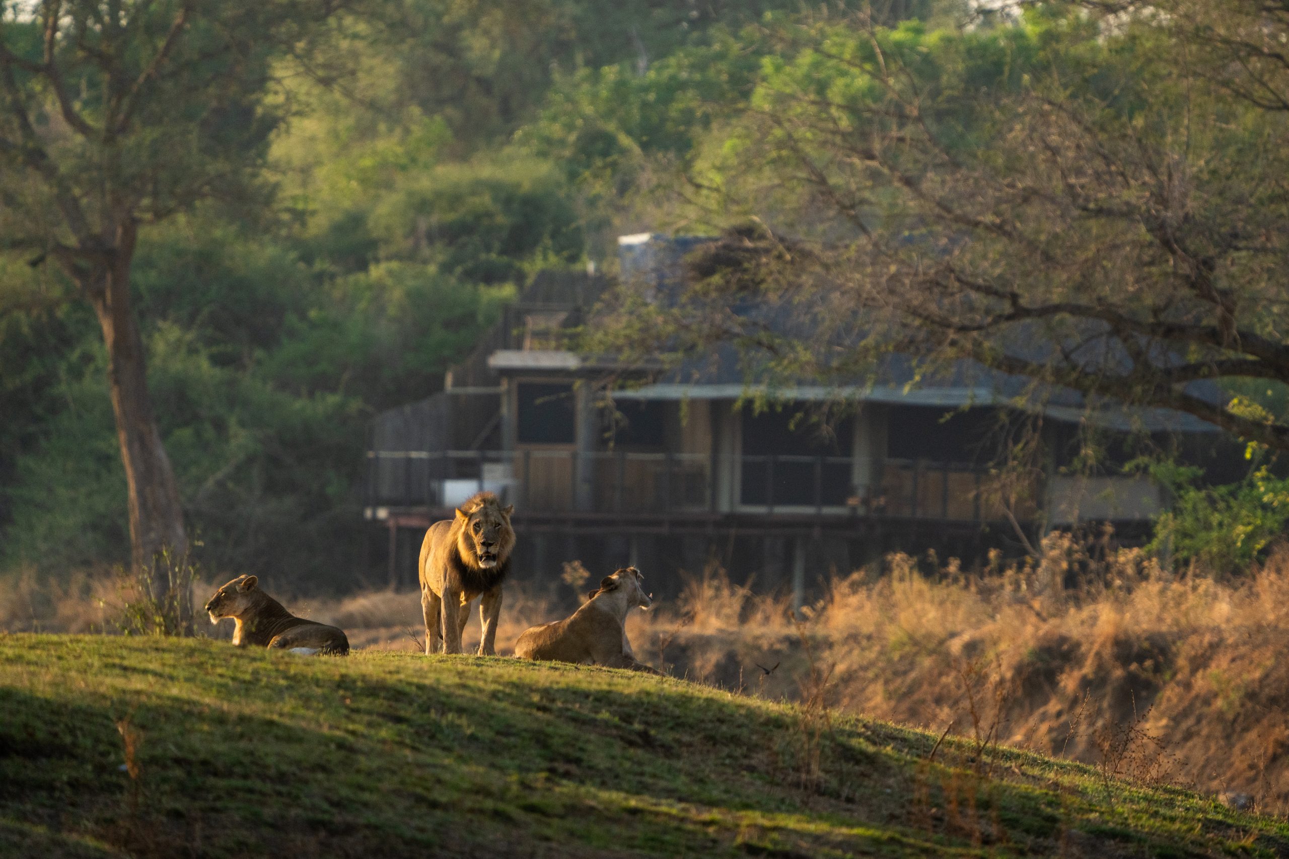 2cd6dce1da890d684c1e18c085e4545fa0dbb105