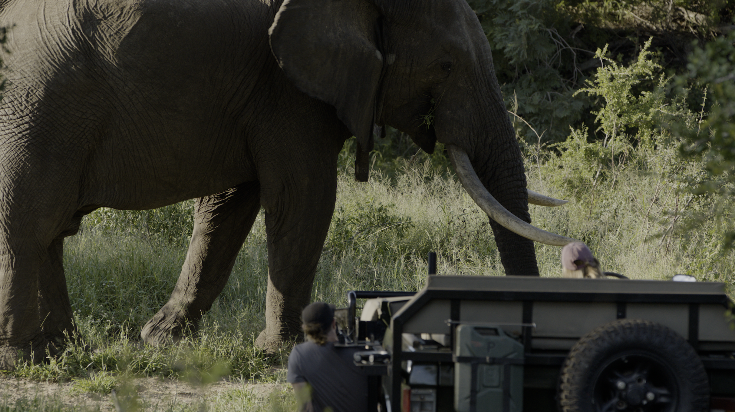 97d62fc084ebe07cf4dc461b994935f35bd37a42