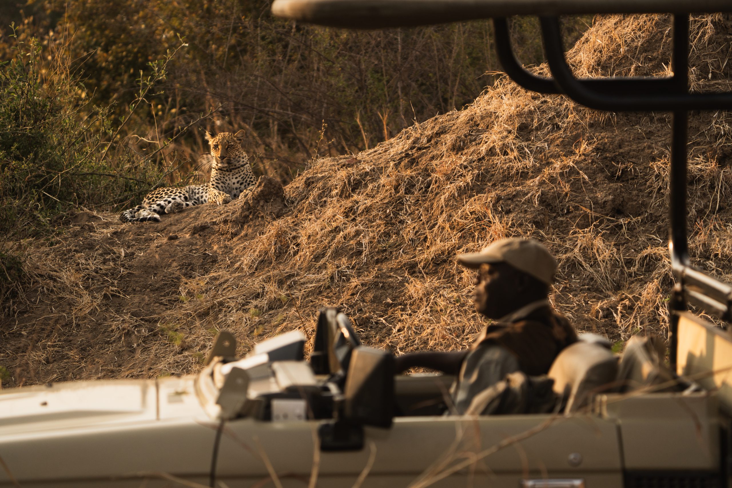 d9693386fc3debf083ca979013e1d3b79c8670e2