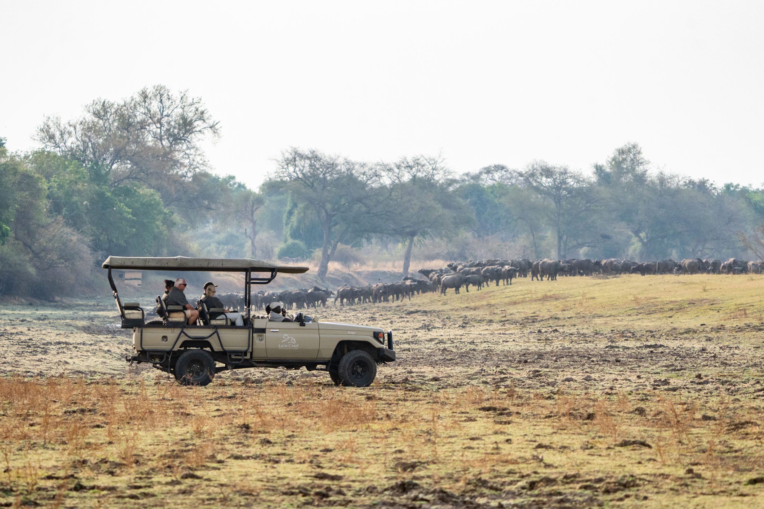 dc8b8d3ece9628e7826a2381eafefec3e4caa212